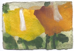 Mohn, gelb, Gouache, 2011, 10 × 15 cm