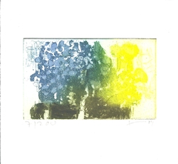 Vergißmeinnicht/Raps, Radierung, 2009, 7,5 × 11,5 cm