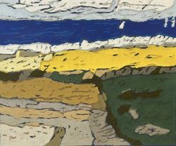Raps vor Ostsee