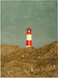 Hohes Ansehen genießen, Mischtechnik auf Schichtholz, 2019, 27 &times; 20 cm