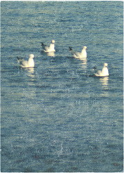In der Sache vereint