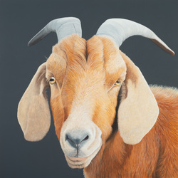 o. T. (I am a soul too), Acryl auf Leinwand, 2023, 120 &times; 120 cm