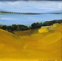 Felder