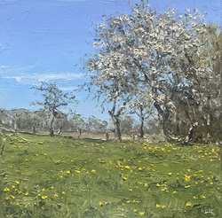 Obstblüte, Öl auf Leinwand, 2021, 30 &times; 30 cm