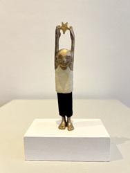 Sternsammler