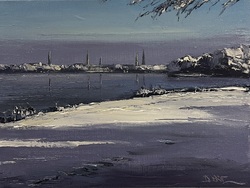 Winter an der Alster