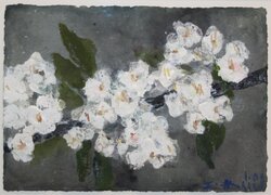 Kirschblüten, Gouache, 2008, 21 &times; 30 cm