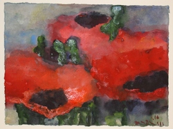 Mohn, Gouache, 2010, 27 &times; 37 cm