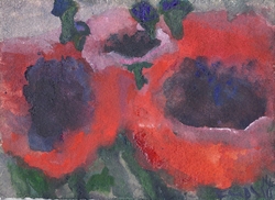 Mohn