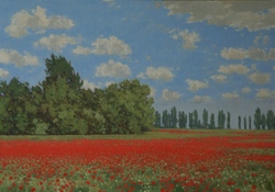 Mohn bei Altefähre