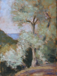 Olivenbaum, morgens, Öl auf Leinwand, 2017, 40 &times; 30 cm