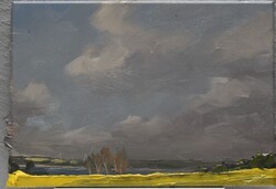Raps bei Dassow, Öl auf Leinwand, 2015, 25 &times; 35 cm