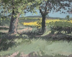 Raps bei Solzow, Öl auf Leinwand, 2007, 40 &times; 50 cm