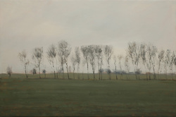 Pappeln/grau, Öl auf Leinwand, 2012, 60 &times; 90 cm