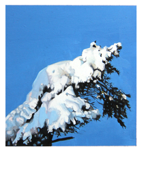 Polaroid 37: Schneekiefer