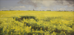 Raps vor Petersdorf, Öl auf Hartfaser, 2012, 25 &times; 50 cm